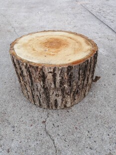 ԭľԭƤľ�y�ľ��ԭľɫľˇ����ľ��ľ��