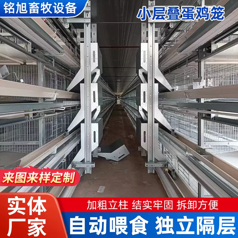 加工小层叠蛋鸡笼加粗加密镀锌多层育雏笼尺寸定制全自动养殖设备