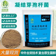 ���Yѿ�ߗU�� 500�|ˮ�a���݄����Bֳ�û���������������ӄ�