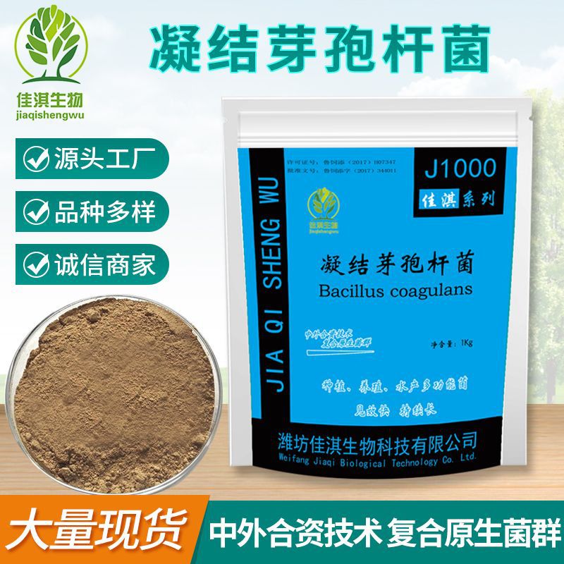 凝结芽孢杆菌 500亿水产畜禽动物养殖用活性益生菌饲料添加剂