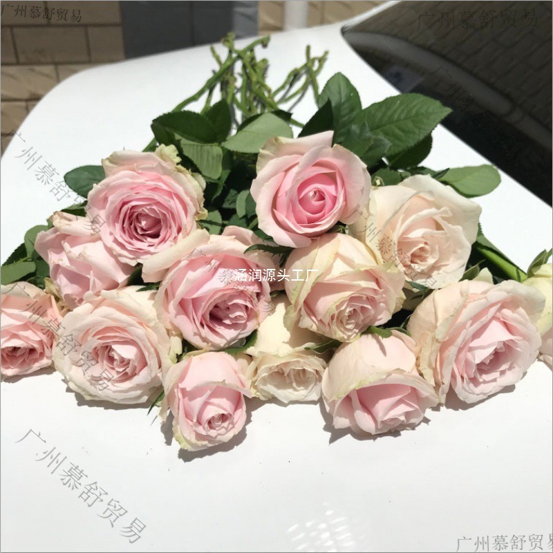 鲜花新鲜基地花束云南玫瑰礼直发香水百合直批批发真花向日葵切花
