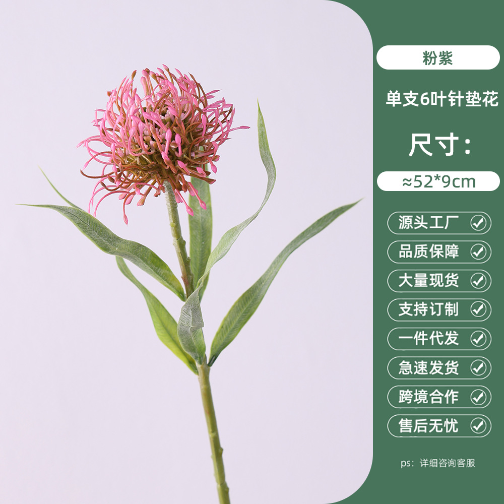 단일 가지 6잎 침대 꽃 - 분홍색과 보라색