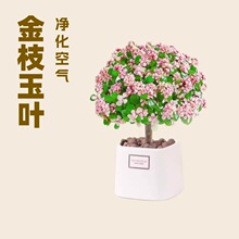 ��֦���~�����Ϙ�����ˮ��ֲ���҃Ȼ��k���ҾGֲ���B�����՚�