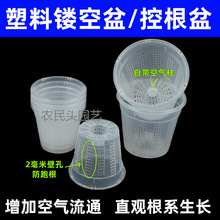 镂空透气塑料兰花盆蝴蝶兰网孔青山控根盆自带空气柱定植篮防跑根