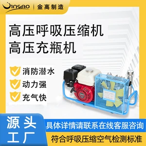 High Pressure Breathing Air Compressor Air Filling Pump 20-30Mpa Household Portable Air Pump Mechanical Diving Equipment Wholesale