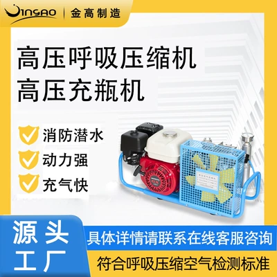 High Pressure Breathing Air Compressor Air Filling Pump 20-30Mpa Household Portable Air Pump Mechanical Diving Equipment Wholesale