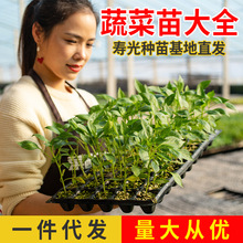 �߲��緬���S������ǧ���������Ե��Դ��������ļ��N���ȫ������