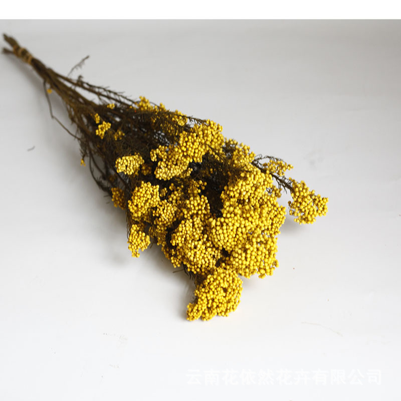 Flor seca Flor eterna Gypsophila Bola de oro No me olvides Flor seca Rosa hoja de eucalipto Pine Fruit Lover Grass al por mayor