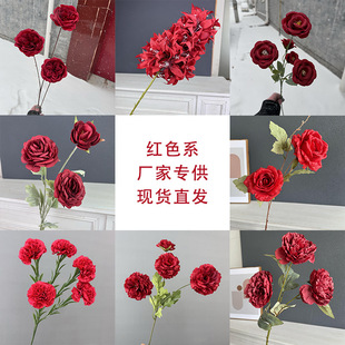 �tɫϵ���滨��ʽ��c��Y�b�·�����Ż��ľƵ�����bٻ����l
