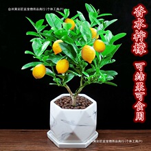 ˮʘԿʳù҃Ȼ̨GֲļϘBֲ