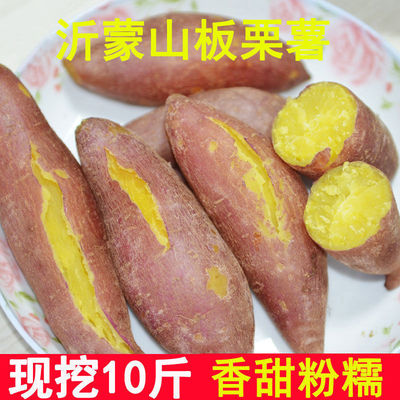 [2批发斤香小地瓜10红薯板栗红薯新鲜黄心5蔬菜蜜薯沙地番薯]