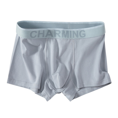 Summer Comfortable Breathable Modal Cotton Men's Short Shorts Straight Leg Pants Letter Belt Trendy Men's Underwear