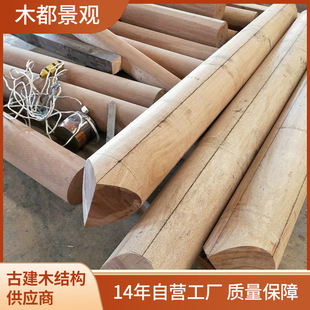 �������l�����S����ľ������ ����@ˇ̼��ľľ��� �������ľ��