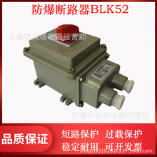 ������������·��BLK52-20A 32A 40A©��_�P�������������T�X