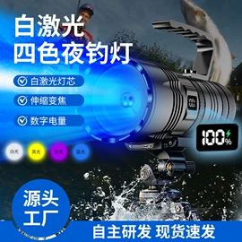 手电筒;头灯头戴电筒;骑行灯