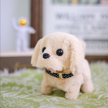 늄�ë�qС����ߕ���·�uβ�l���挙�ͯ���Ӱ�����ż�Y��