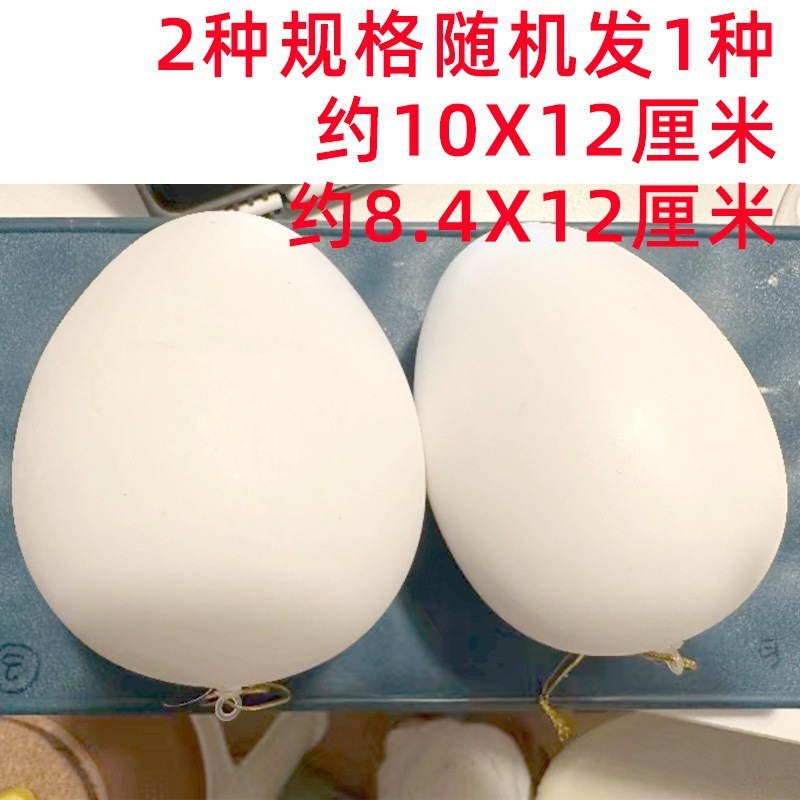 Modelo Yinwo 6 Juguetes para niños Huevo de ganso Huevo de Pascua Huevo grande 30cm Accesorios de fotografía Pintura de cáscara de huevo