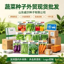 批发四季蔬菜种子易活室内外阳台庭院播种香菜生菜白菜辣椒菜种子