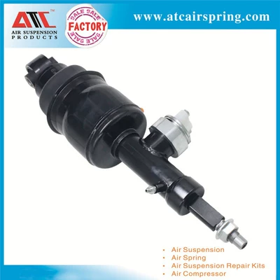 E62111LA7B/E62101LA7, damping system