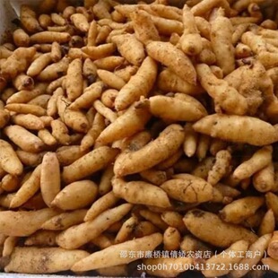 ����N���·N������������N�ӷN���������r��������Nֲ�N