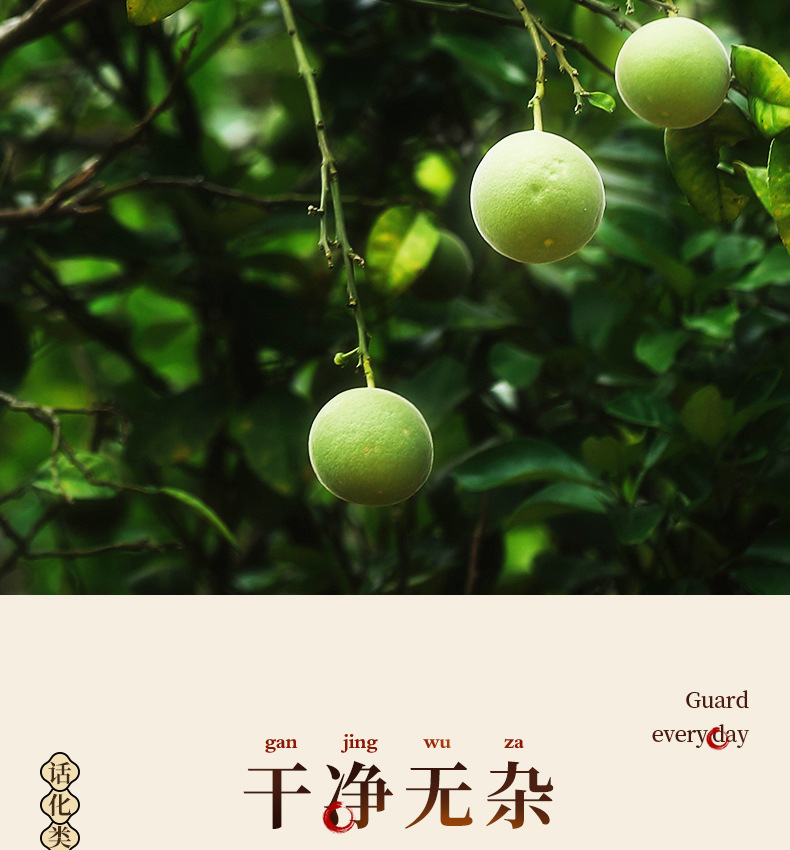 Huazhou Tangerine Peel Preserved Fruit Hua Ju Hong Ready to Eat Herbal Snack 150g quality and texture