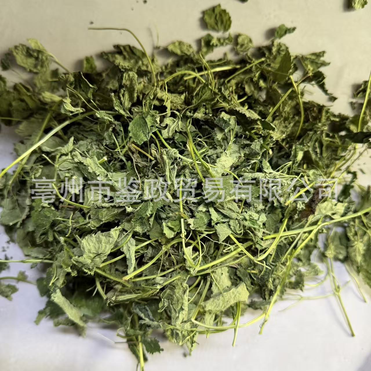 Lemon Balm Dried Herb 500g Bag Xiang Feng Cao Herbal Tea Ingredient quality and texture