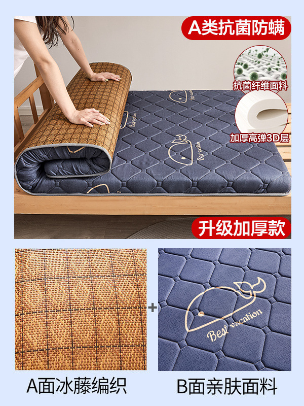 작은 고래 = 6.5cm (A급 항균 - 3D 농축 버전) 양면 매트 및 매트리스 사용 가능