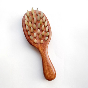 �t��֦������X����