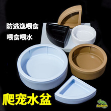 爬宠食盆水盆防逃脱守宫仓鼠饲养面包虫塑料厂家防逃逸爬宠食盆