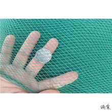 天网养殖防护围栏塑料养殖网天网拦鸡鸭网山鸡网菜园网尼龙网水面