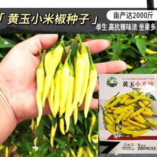 ҰS콷NݽҰɽNӸ߮aSɫС⽷N