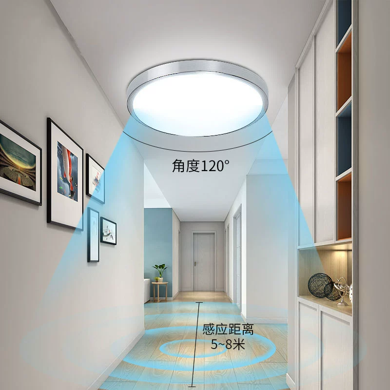 LED physiological induction smart ceiling light for stairs for corridor, human sensor