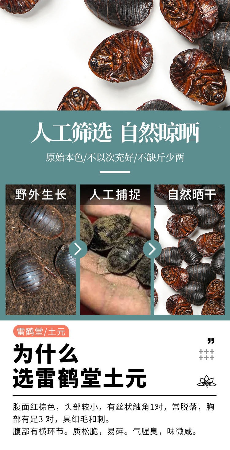 Tu Yuan Dried Ground Beetle 土元 Whole Insect TCM Herb 500g Traditional Decoction Ingredient key features