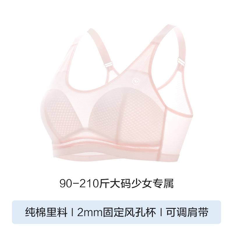 복숭아 가루