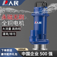 人民微型污水泵直流无刷水泵24伏家用浇菜户外电瓶抽水泵农用灌溉