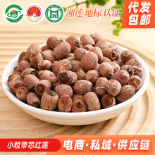 小粒带芯红莲散装新莲子带芯红莲500g有芯红莲子干货农产品代发包