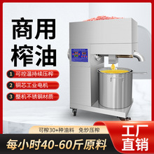 时产40-60斤榨油机商用中型 油坊商用榨油机大型榨油机智能全自动