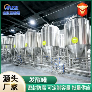 定制啤酒发酵罐酒吧不锈钢密闭控温发酵罐大型精酿啤酒发酵设备