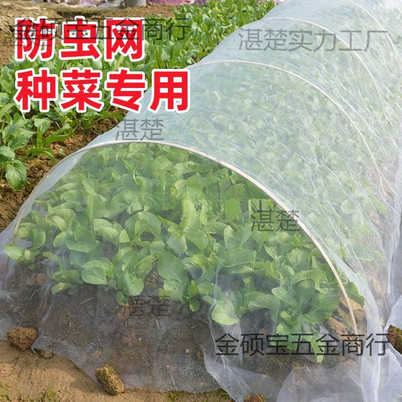 防虫网种菜专用80目防虫罩加密纱网菜地果园网蔬菜防鸟罩菜园菜地