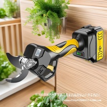 V�M��늄���֦����֦������ȫ�Ԅ�Һ���o����늈@ˇ�@�ִ�֦