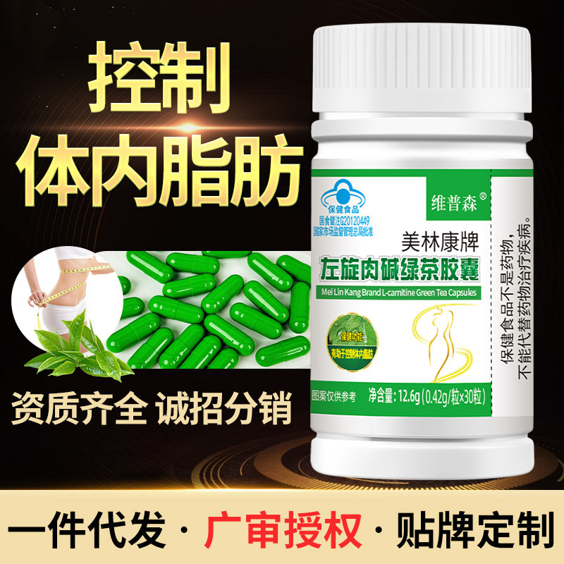现货左旋肉碱绿茶胶囊控制体内脂肪肥胖人群批发正品一件代发