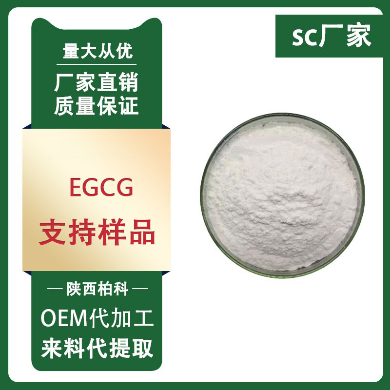 EGCG 98% 绿茶提取物 表没食子儿茶素没食子酸酯 EGCG100g/袋包邮