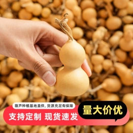 木质工艺品;木雕/根雕;葫芦器