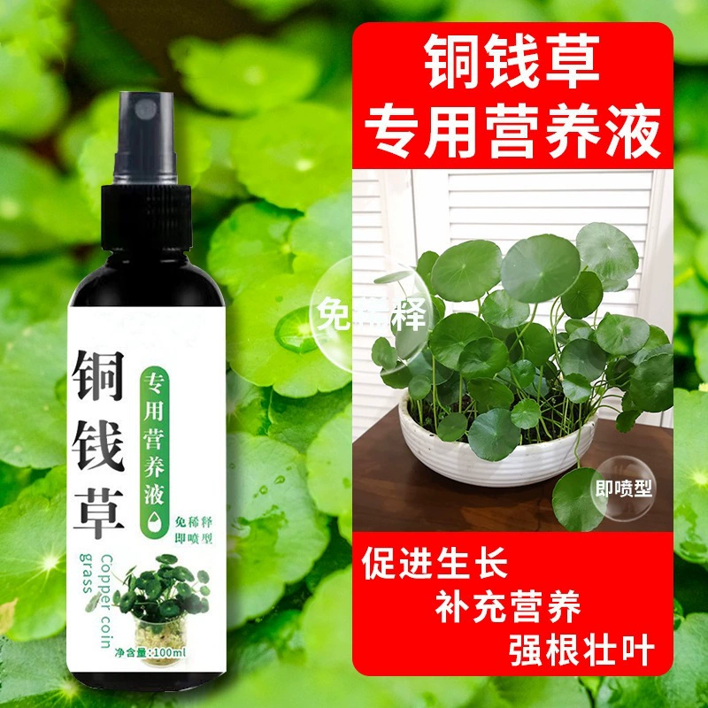 Производитель медной травы питательный раствор гидропонного прорастания семян, способствуя корням, способствуя цветению и предотвращая использование желтых листьев