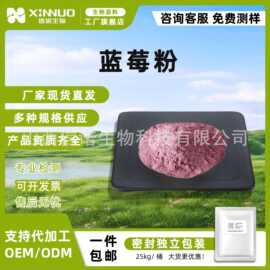 蓝莓粉 多规格固体饮料 奶昔原料  蓝莓冻干粉 蓝莓果粉 信诺生物