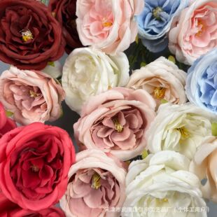 3�^�W˹͡ �ߙn  �����z�껨�ҾӼٻ���Y��c�b��¼��b�����