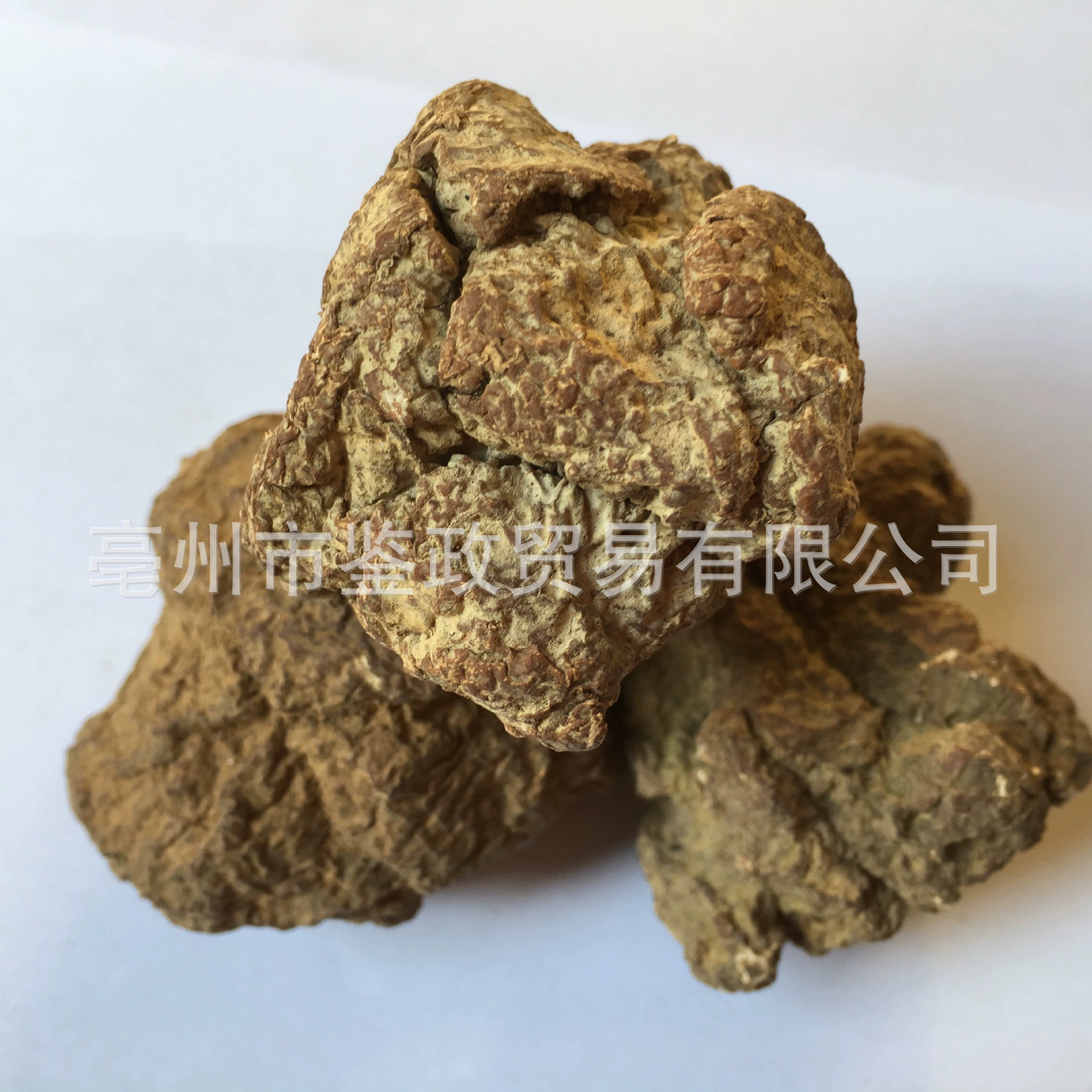 Tiger Milk Mushroom Slices Hu Ru Jun Dried Soup Herb for Nourishing Broths quality and texture