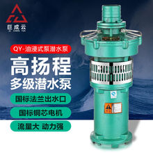 高流量巨成-扬程浸泵QY25油农用380V1三相潜水泵云工业大26QY台价