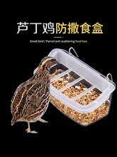 �J���uιʳ����̖�Ғ�\��ʽ������RС�u����ʳ���Ԅ�ιʳ�ˮ��