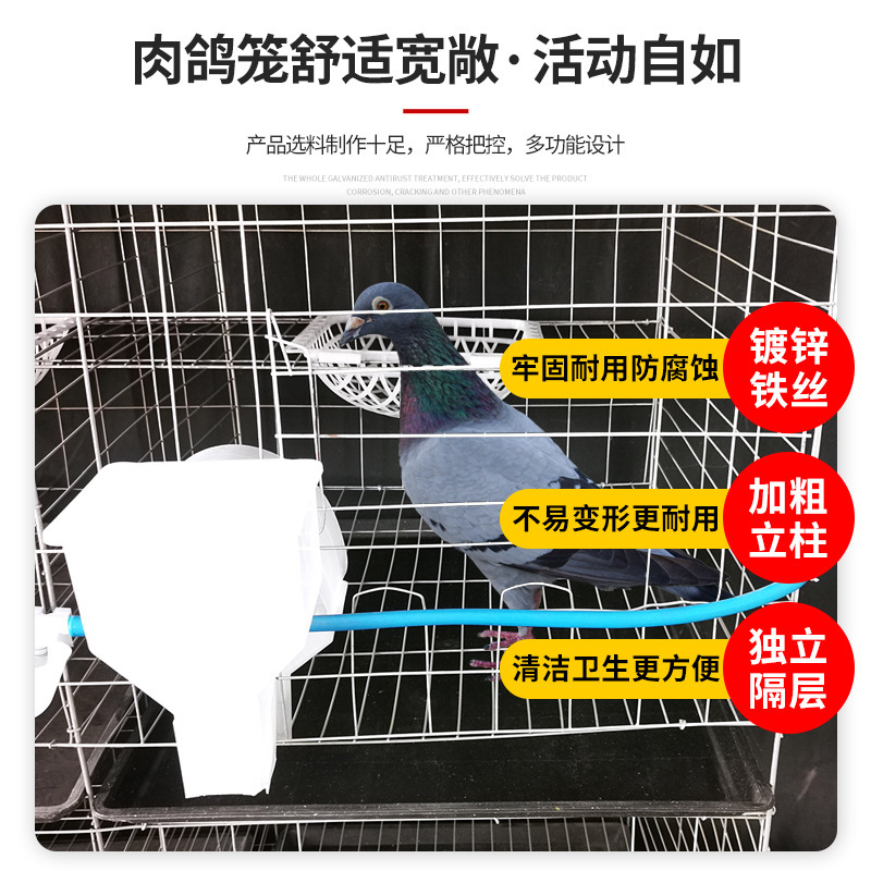 ハト籠ハト籠養殖籠メーカー卸売り太くて大きいサイズの亜鉛メッキ16位四階の部品がそろっています。ハト籠|undefined